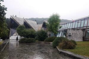 Kolašin: Od šuma naplatili svega 50.000 eura