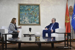 Rajnke: Krivokapiću uskoro pozivnica za učešće na virtuelnom...