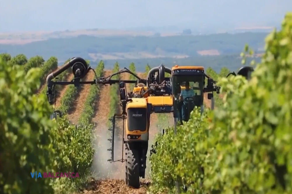 VIA Balcanica, Foto: Vijesti online