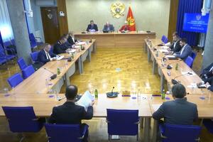 The board supported the appointment of Goranović as general director...