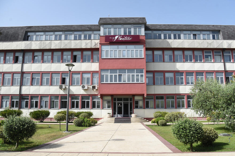 Promjene za početak oporavka kompanije: Plantaže, Foto: SAVO PRELEVIC