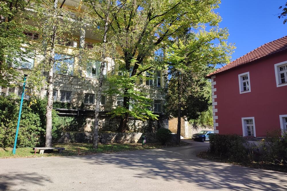 Foto: Svetlana Mandić