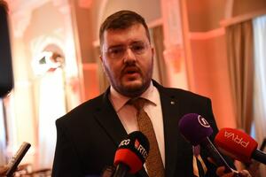 Koprivica: Demokrate će glasati za Zakon o porijeklu imovine,...