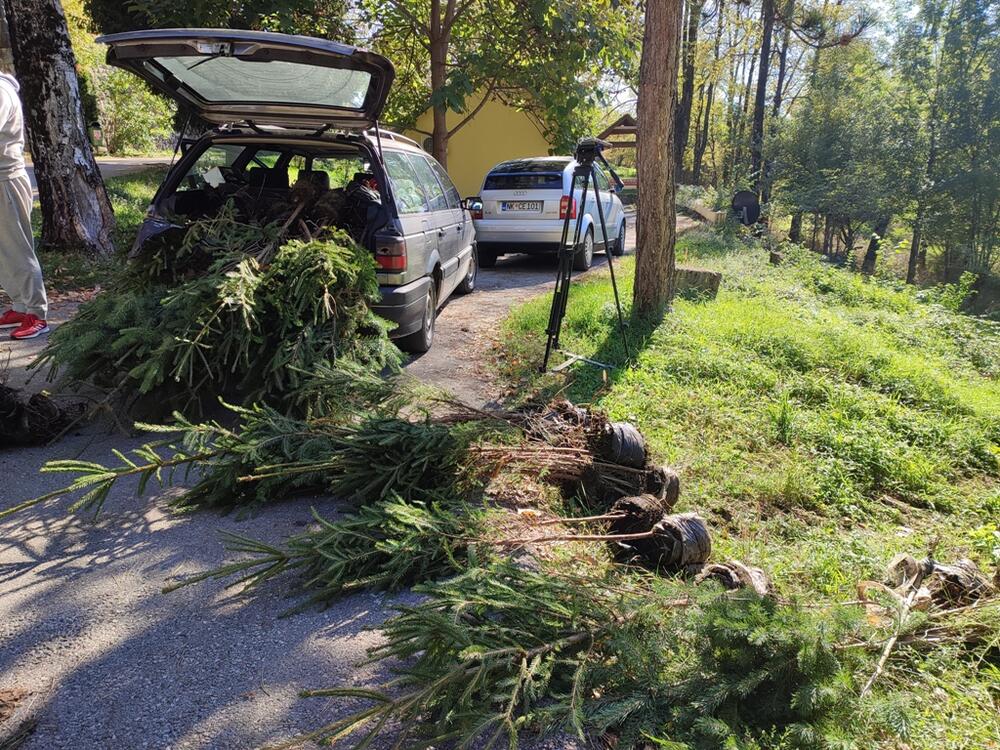 <p>"Prvo smo izabrali Brezovik jer je potrebna i najveća količina stabala, bez obzira što se za Brezovik kaže da je zelena oaza", kazao je predsjednik Društva mladih ekologa Nikšić Miodraga Karadžića</p>