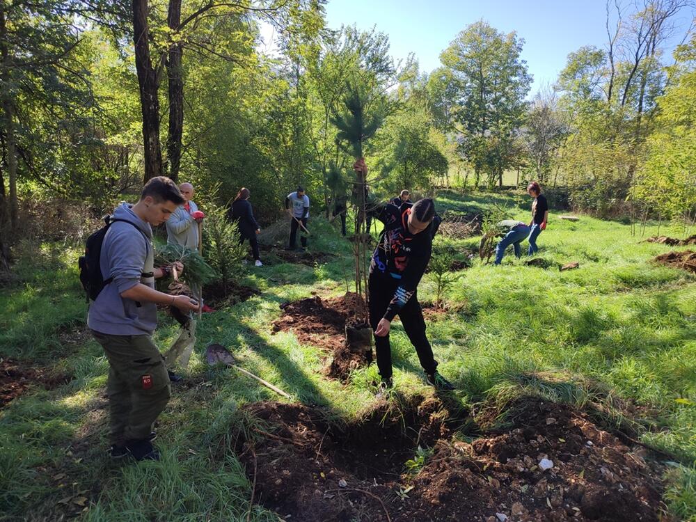 <p>"Prvo smo izabrali Brezovik jer je potrebna i najveća količina stabala, bez obzira što se za Brezovik kaže da je zelena oaza", kazao je predsjednik Društva mladih ekologa Nikšić Miodraga Karadžića</p>