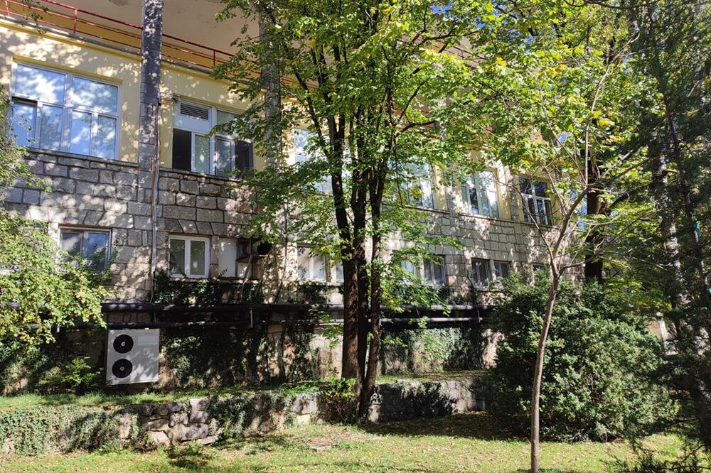 Foto: Svetlana Mandić