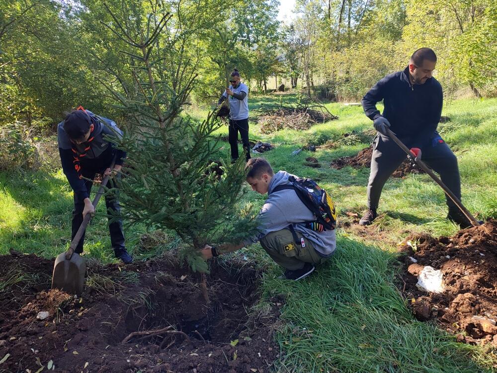 <p>"Prvo smo izabrali Brezovik jer je potrebna i najveća količina stabala, bez obzira što se za Brezovik kaže da je zelena oaza", kazao je predsjednik Društva mladih ekologa Nikšić Miodraga Karadžića</p>