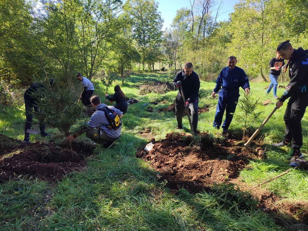 <p>"Prvo smo izabrali Brezovik jer je potrebna i najveća količina stabala, bez obzira što se za Brezovik kaže da je zelena oaza", kazao je predsjednik Društva mladih ekologa Nikšić Miodraga Karadžića</p>