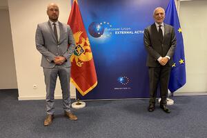 Radulović: Političko i ekonomsko povezivanje sa zemljama EU...