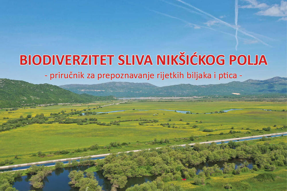 Foto: NVO „Župa u srcu“