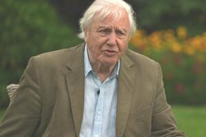 Ser Dejvid Atenboro upozorava da nešto mora da se „preduzme sada“