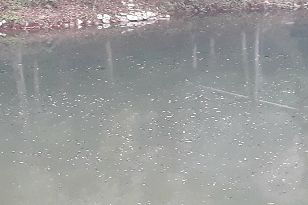 Foto: Privatna arhiva