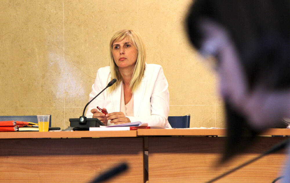 Katnić ima pravo da uskrati davanje informacija koje se tiču postupaka koji su u toku: Jonica 