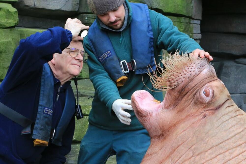 Foto: Monika Mazurkiewicz