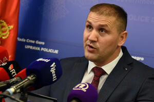 Lazar Šćepanović rukovodi Sektorom za borbu protiv kriminala