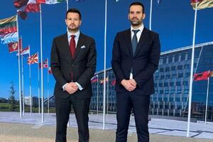 Milatović i Spajić: Partnerstvo sa NATO osnažujemo kroz sve...