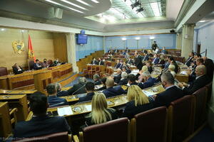 U Cetinju, Mojkovcu i Petnjici će se glasati 5. decembra