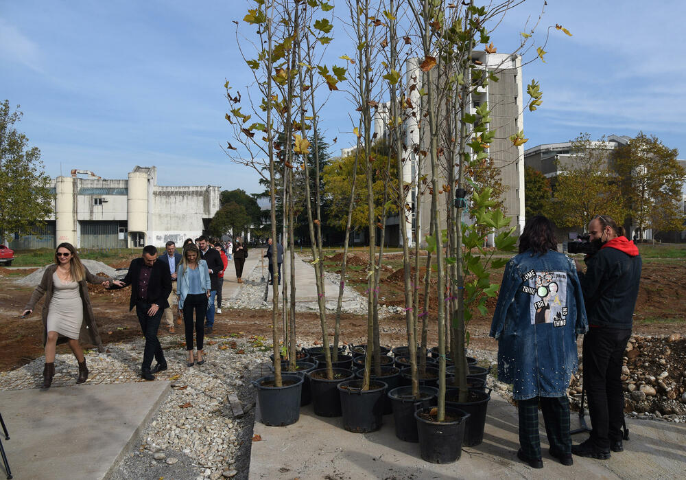 <p>“Ozelenili smo prostor oko KCCG, to je naša zahvalnost zbog njihove borbe protiv kovida. Radili smo uređenje oko bolnice u Pljevljima, škole u Beranama i bolnice, to je jedna akcija koja traje u kontinuitetu. Posadili smo dosta zelenila i u prostoru gdje su šume zapaljene”, kazao je Mitrović</p>