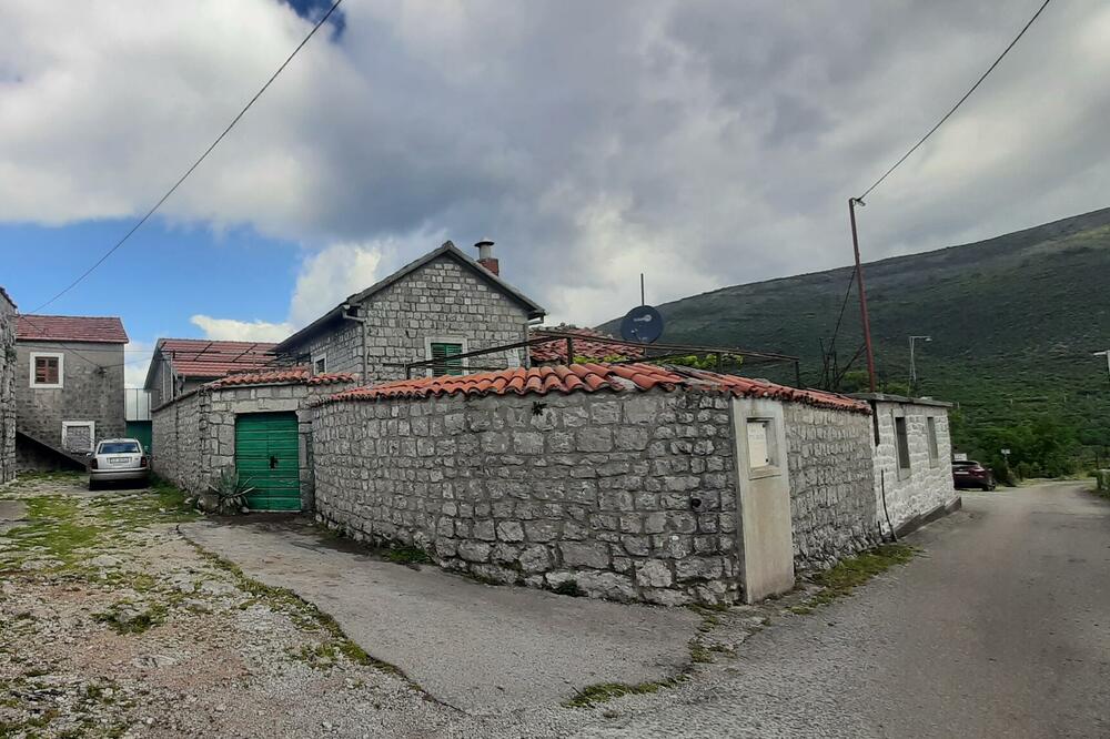 Detalj sa Luštice, Foto: Siniša Luković