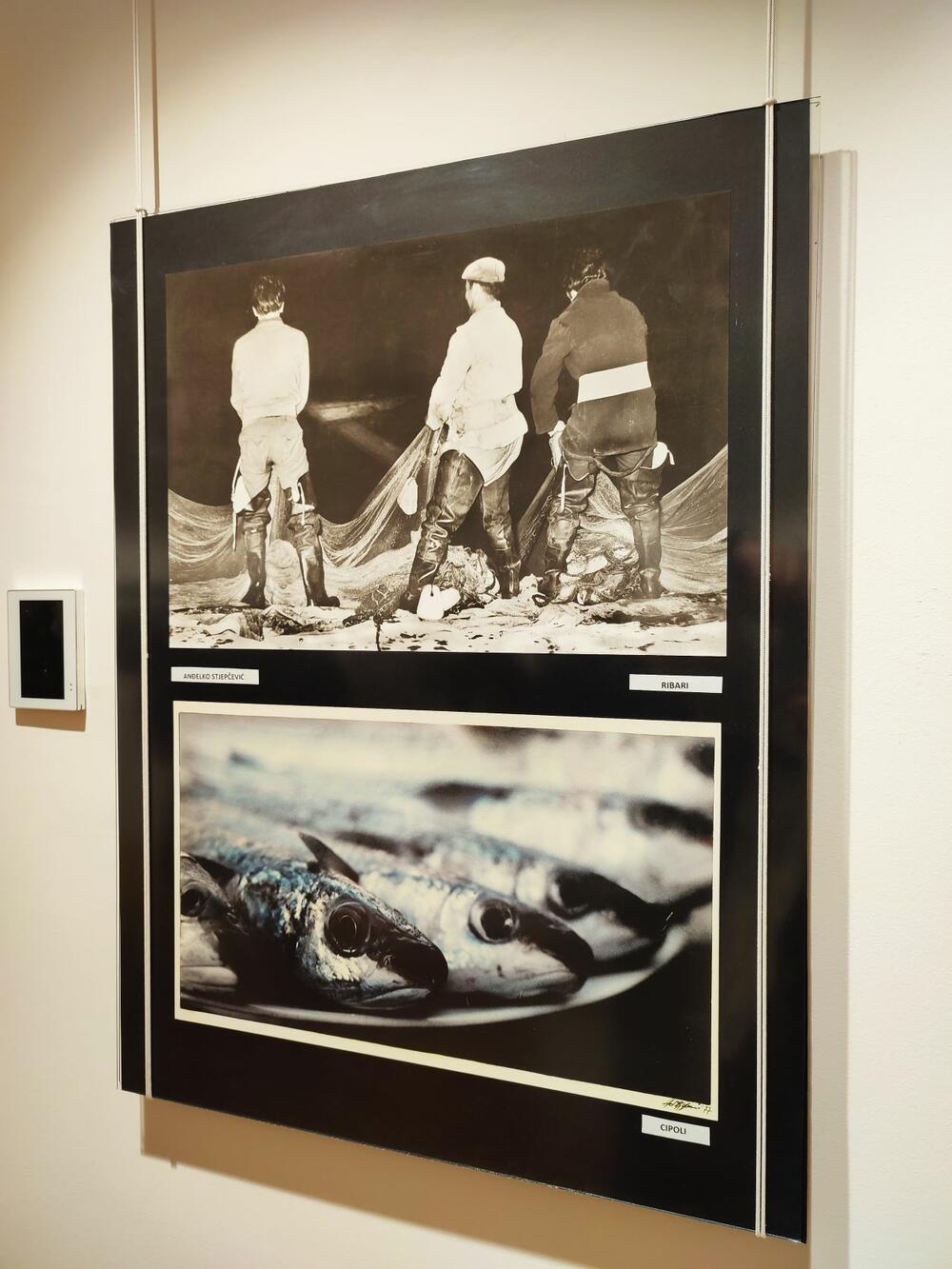 <p>Jubilej je obilježen velikom retrospektivnom izložbom starih, ali i novih umjetničkih i dokumentarnih fotografija, čiji su autori bivši i aktuelni članovi kluba</p>