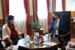 Kordić: Upečatljiva uloga Skupštine u procesu integracija