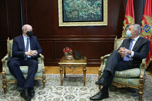 Đukanović: Ambicija Instituta dragocjena za podizanje političke...