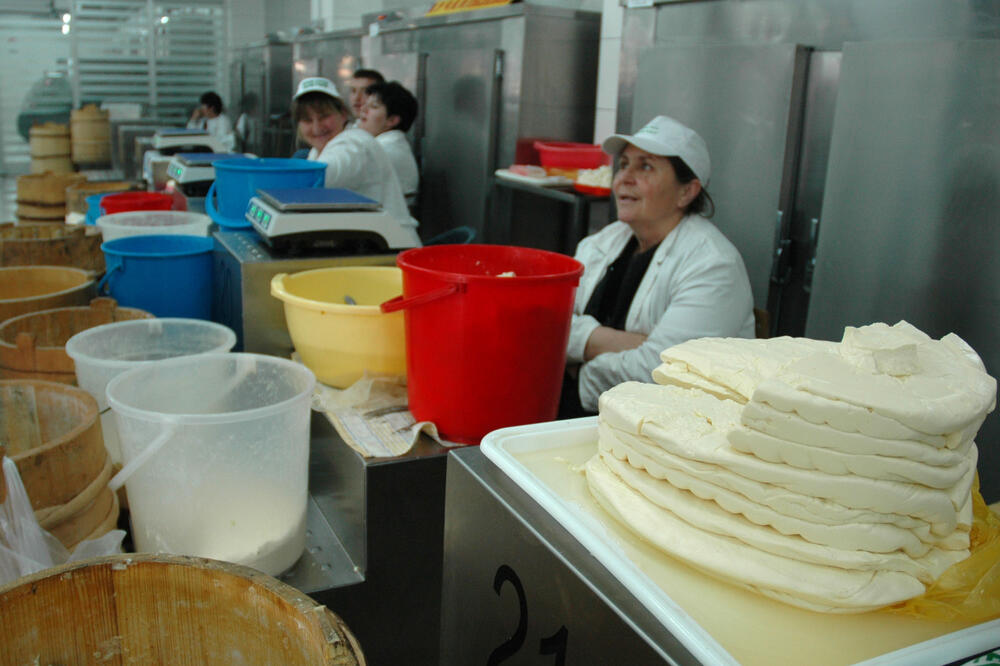 Izmjena zakona omogućiće i niže cijene sira (Ilustracija), Foto: Luka Zekovic