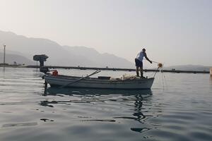 U Jadran za 30 godina ušlo 46 novih vrsta riba