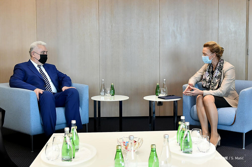 Krivokapić Savjet Evrope