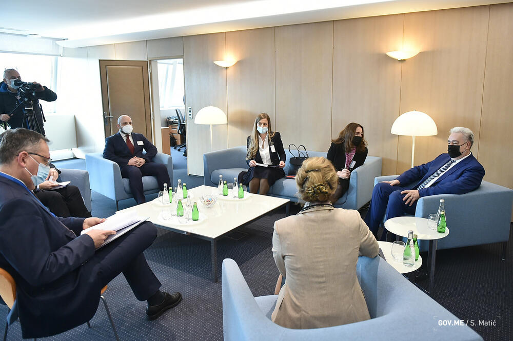 Krivokapić Savjet Evrope