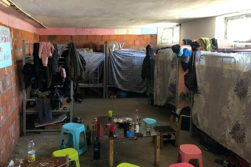 Foto: Danilo Ćurčić/A11