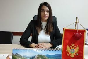 Tužiteljka Jelena Protić upućena u SDT