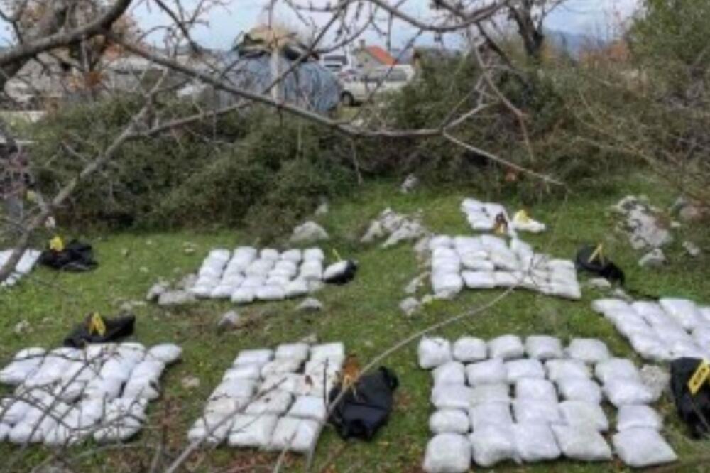 Zaplijenjena marihuana, Foto: Sipa.gov.ba