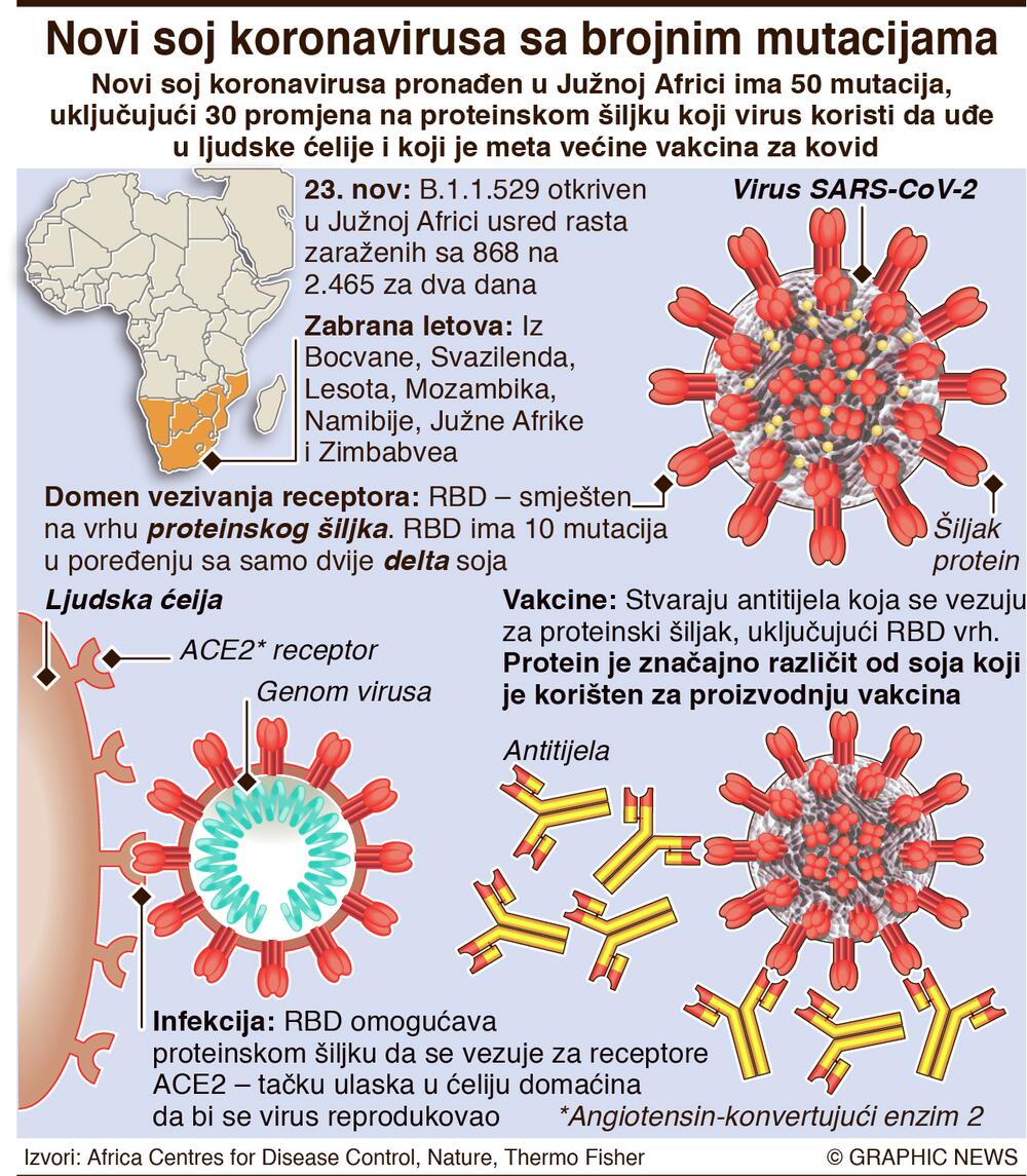 koronavirus soj omikron