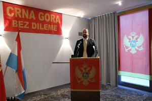 Nikolić: Nezavisna Crna Gora je zajedničko životno djelo naše...