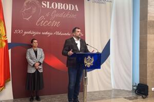 Krapović: Rekordan broj građana glasao za promjenu, nijedan glas...