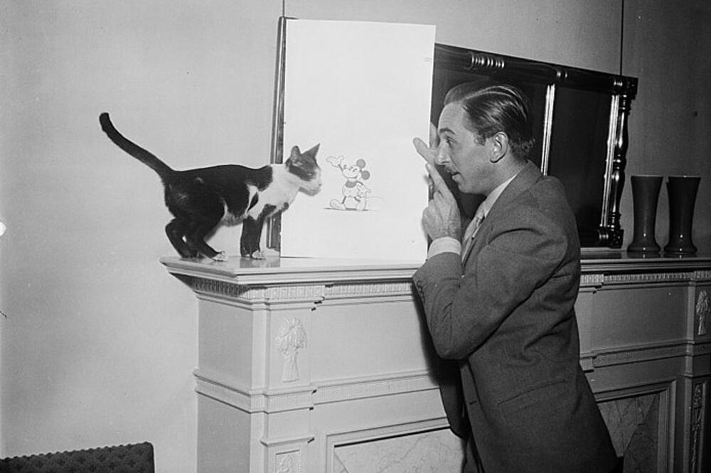 Volt Dizni sa crtežom Mikija Mausa, Foto: Commons.wikimedia.org