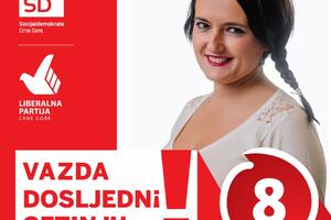 Đukić: Koaliciju SD-LP čine ljudi na ponos Cetinju i Crnoj Gori