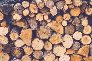 Odredili lokacije za prodaju drva za ogrijev u Podgorici