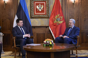 Krivokapić: Fundametalan korak ka EU se se odnosi na vladavinu...