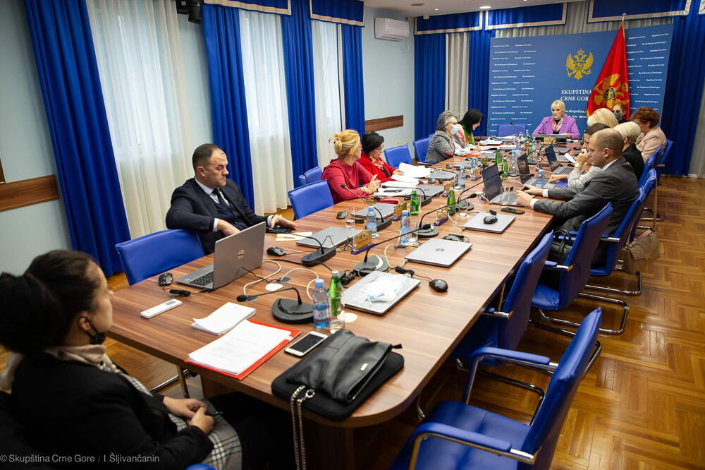 Sa sjednice Odbora za rodnu ravnopravnost, Foto: Skupština Crne Gore