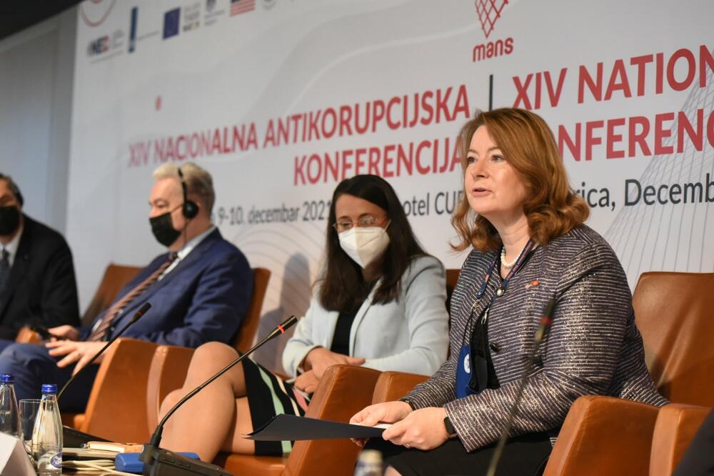 Rajzing Rajnke na konferenciji, Foto: Savo Prelević