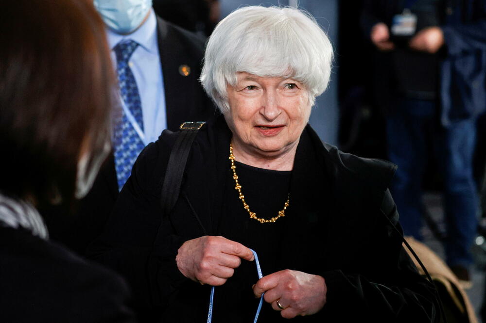 Jelen, Foto: Rojters