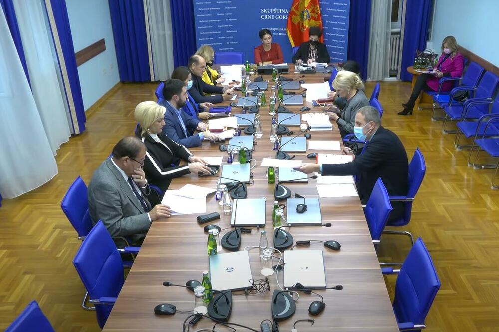 Sa sjednice, Foto: Screenshot/Youtube