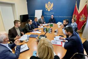 Spajić: Ministarstvo će podržati lokalne samouprave