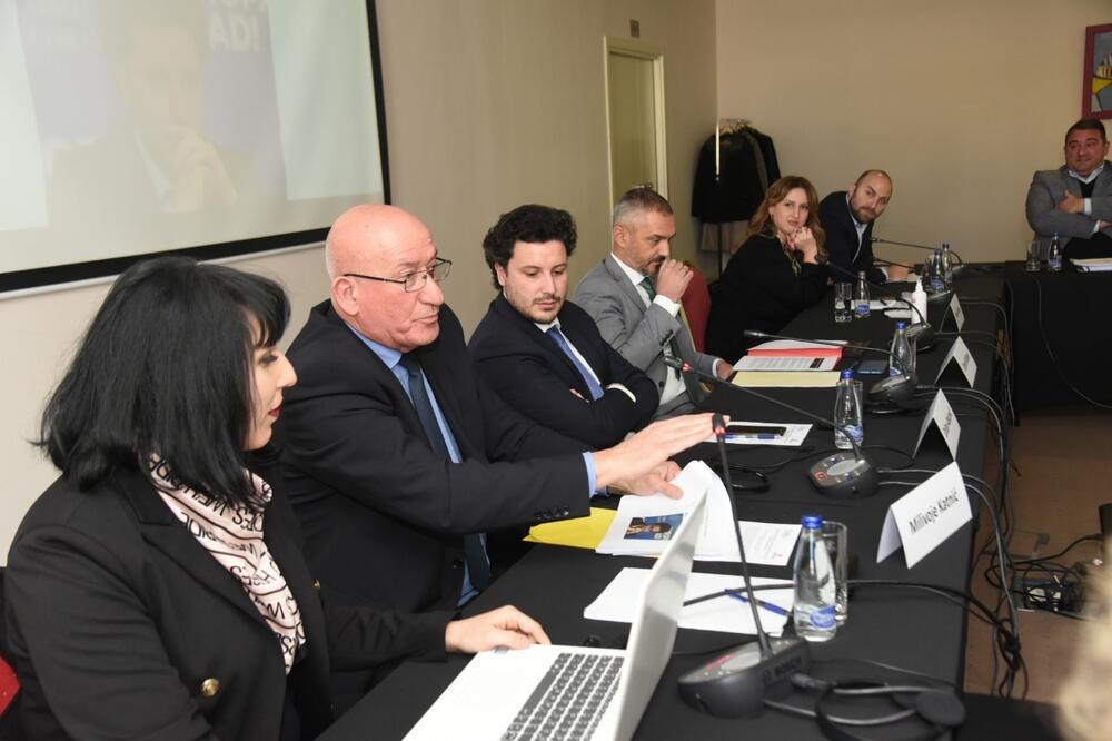 Sa konferencije, Foto: Savo Prelević