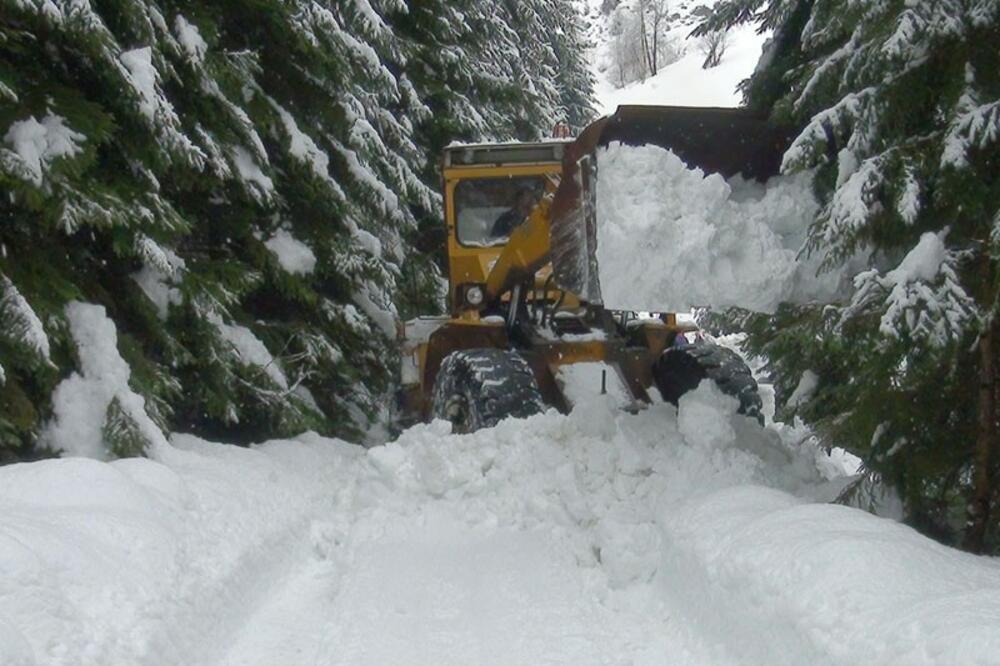 Foto: Privatna arhiva