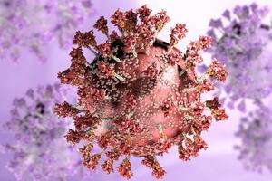 Buster doza najmanje 80 odsto djelotvorna protiv soja omikron