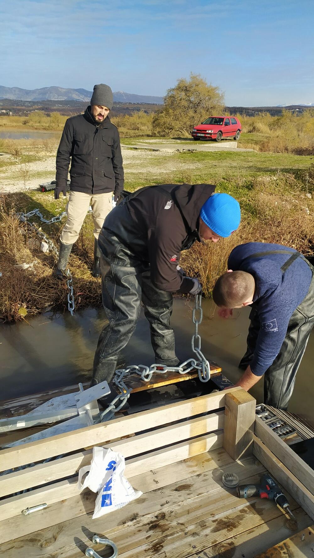 gniježdenje pelikana