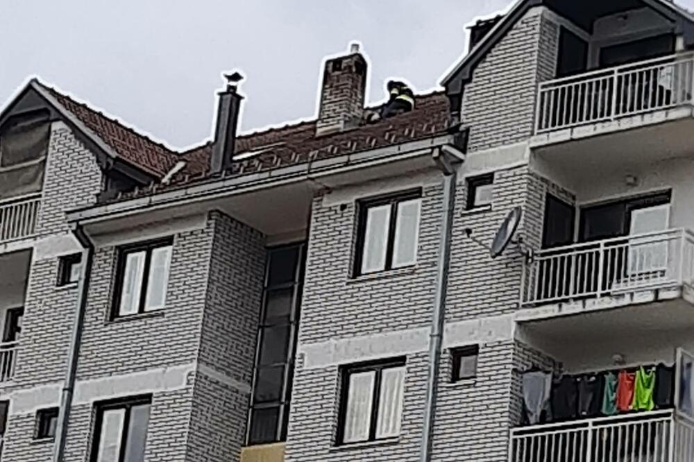 Foto: Jadranka Ćetković